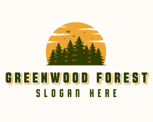 Sunset Forest Tree logo design