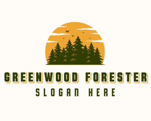 Sunset Forest Tree logo design