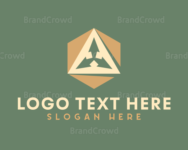 Generic Hexagon Triangle Arrow Logo