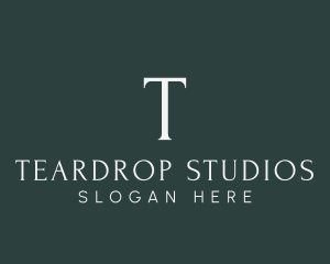 Professional Brand Studio logo design