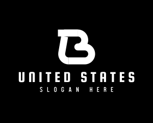 Professional Modern Letter B logo design