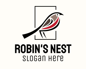 Robin - American Robin Bird logo design