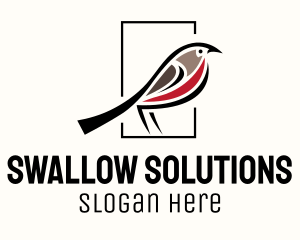 Swallow - American Robin Bird logo design