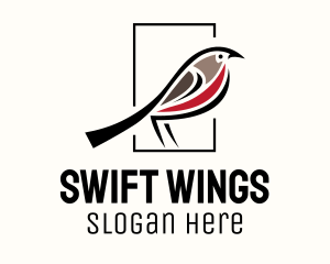 Swallow - American Robin Bird logo design