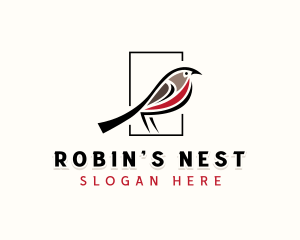 American Robin Bird logo design