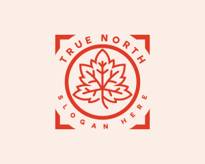 Canada Maple Leaf logo design