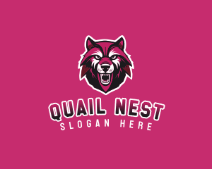 Sport Team Wolf Mascot logo design