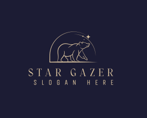  Bear Star Astronomy logo design