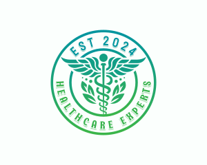 Caduceus Wellness Healthcare logo design