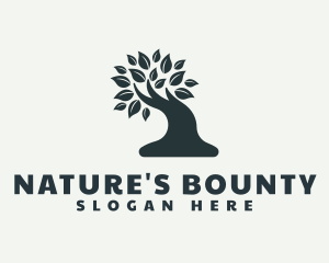 Natural Bonsai Tree logo design