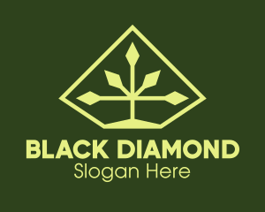 Nature Diamond Plant logo design