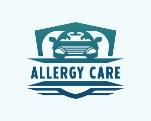 Car Care Auto Detailing  logo design