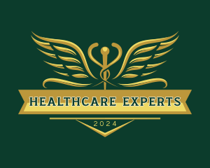 Caduceus Medical Healthcare logo design