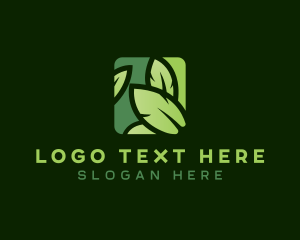 Eco - Environmental Eco Leaf logo design