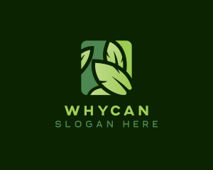 Environmental Eco Leaf Logo