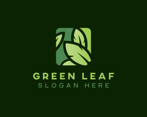 Environmental Eco Leaf logo design