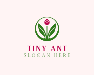 Tiny Flower Bloom logo design