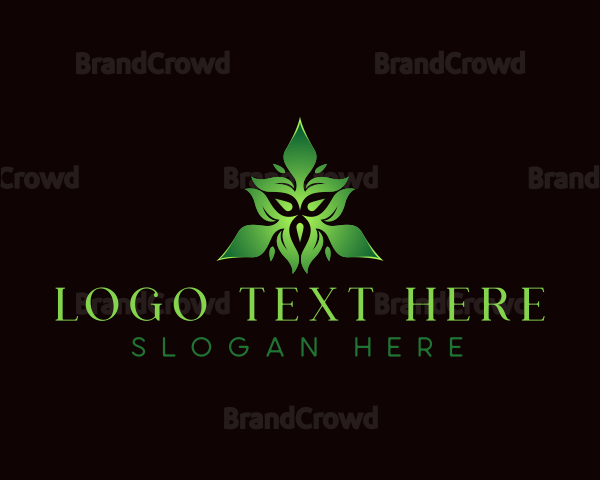 Natural Botanical Leaves Logo