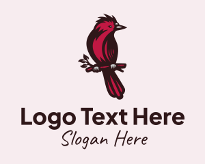 Toco Toucan - Tree Branch Cardinal logo design