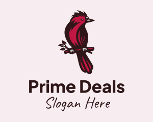 Amazon - Tree Branch Cardinal logo design