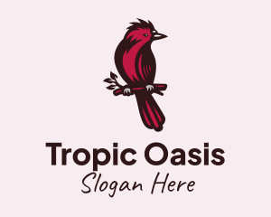 Tropic - Tree Branch Cardinal logo design
