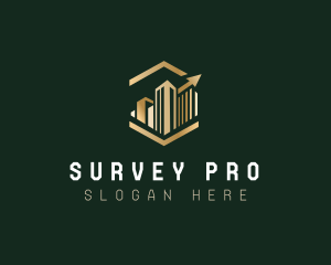 Survey - Chart Hexagon Arrow logo design