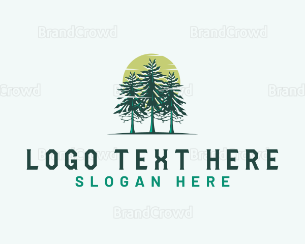 Pine Tree Forest Outdoor Logo