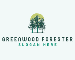 Pine Tree Forest Outdoor logo design