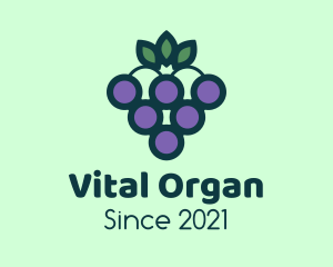 Organic Grapes Fruit  logo design