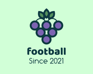 Vineyard - Organic Grapes Fruit logo design
