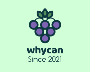 Winemaker - Organic Grapes Fruit logo design