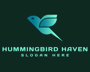 Abstract Flying Hummingbird logo design