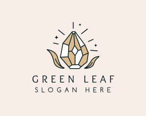 Leaf Diamond Gemstone logo design