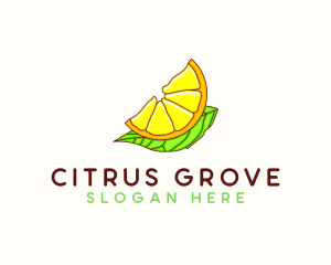 Citrus - Orange Pulp Citrus logo design