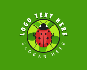 Insect - Lady Bug Insect logo design