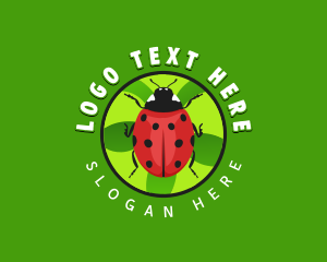Lady Bug Insect Logo