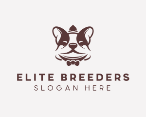 Boston Terrier Dog logo design