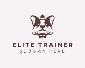 Boston Terrier Dog logo design