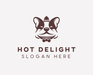 Boston Terrier Dog logo design