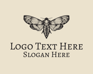 Moth - Rustic Lunar Moth logo design