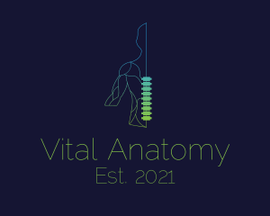 Anatomy - Minimalist Chiropractic Spine logo design