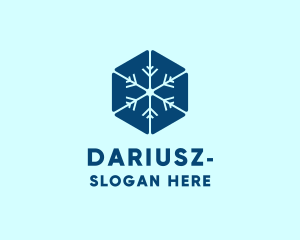 Freezing - Blue Hexagon Snowflake logo design