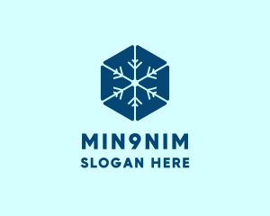 Blue Hexagon Snowflake logo design