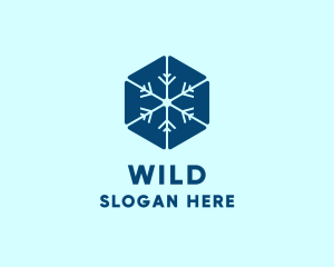 Symbol - Blue Hexagon Snowflake logo design