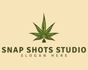 Classic Cannabis Leaf Logo