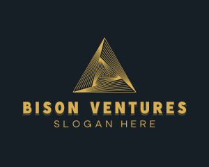 Pyramid Venture Capital logo design