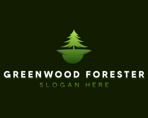 Nature Pine Tree Forest  logo design