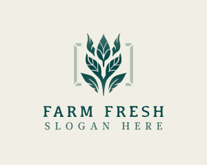 Eco Agriculture Leaves logo design