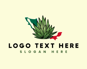 Mexico Succulent Agave Logo