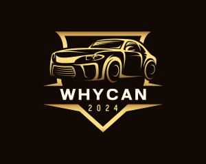 Racing Car Detailing Logo
